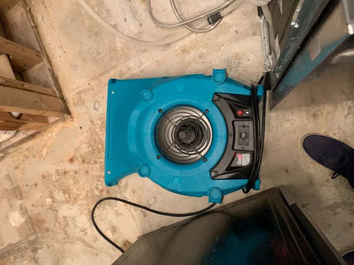 Air mover drying equipment for Mold Remediation & Removal in East Whittier